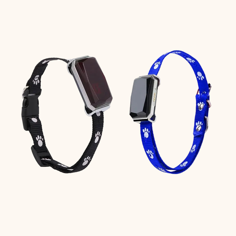 Collare con GPS per cani ZampyTrack, con tecnologia di localizzazione e design resistente.
