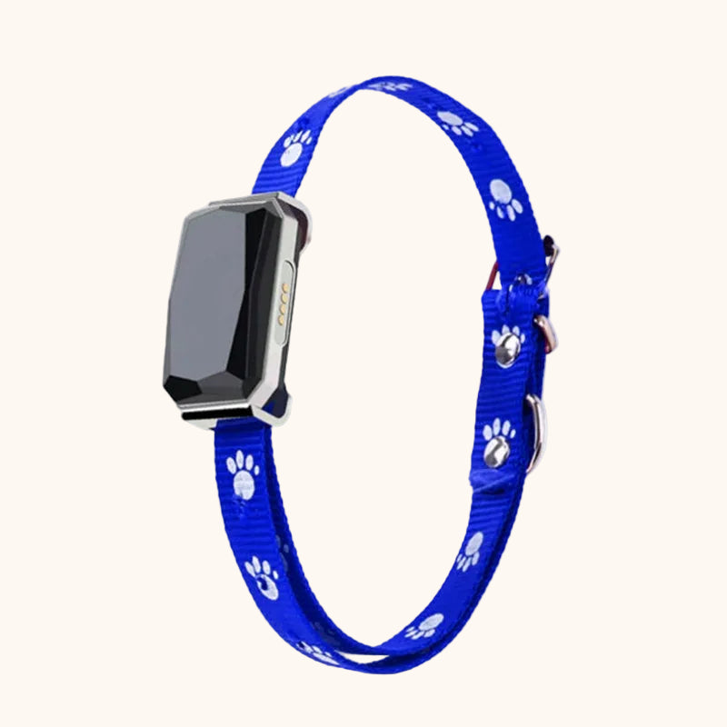 Collare GPS per cani ZampyTrack blu, con tecnologia di localizzazione e design resistente.