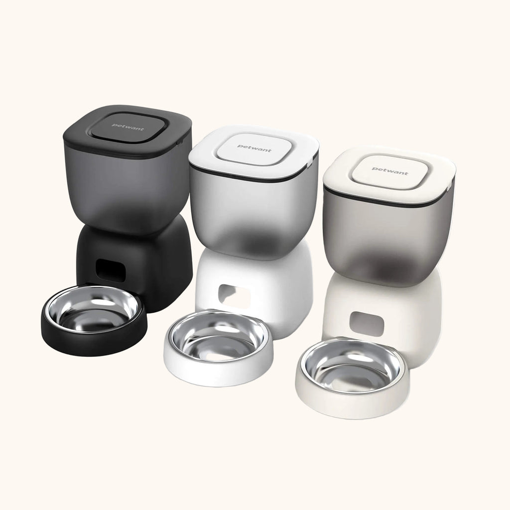  ZampyDish Dispenser per cani automatico facile da usare e igienico.