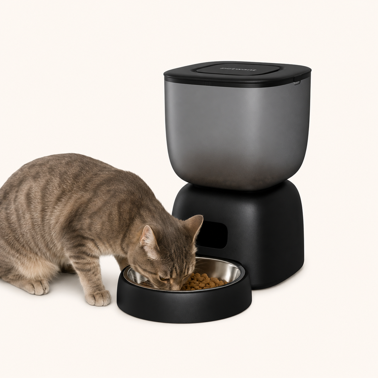 Gatto grigio mentre mangia crocchette da una mangiatoia automatica nera per animali